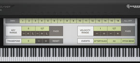 Midipolysher 110