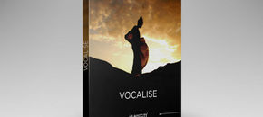 Vocalista vst crack download pc